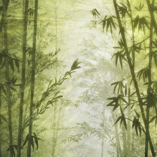 Zambaiti Parati Z77588 Savana - mural w las tropikalny