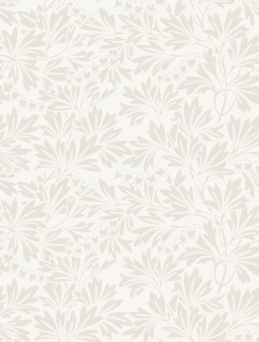 5116969a564cbac9249a422ee17f217d