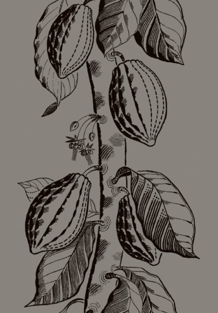 Tapeta Cole & Son - Frontier - Cocoa - 89/11046