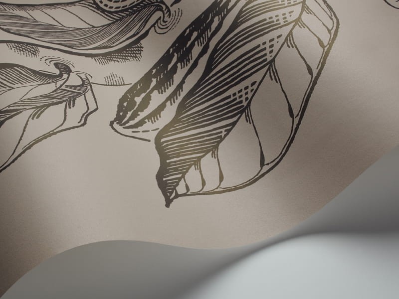 Tapeta Cole & Son - Frontier - Cocoa - 89/11046