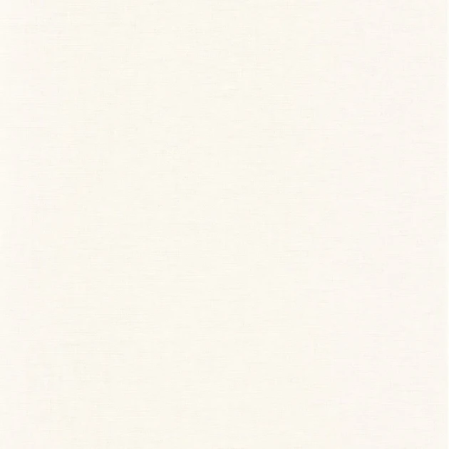 Caselio LNI 103227000 Linen Edition 2 Uni Mat Vert amande clair - tapeta imitująca len