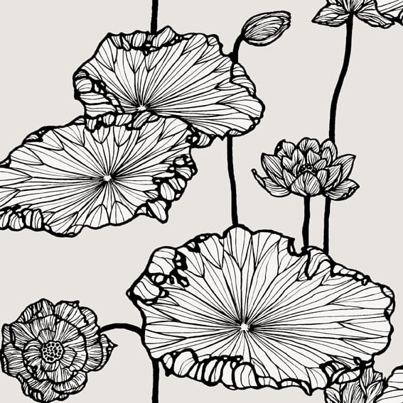 Tapeta Cole & Son - Frontier - Water Lily - 89/5021