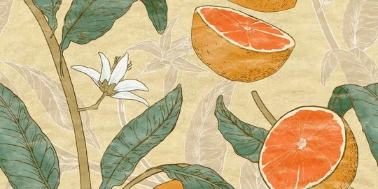 Tecnografica 76724-4 Old London Citrus Lime - mural w cytrusy