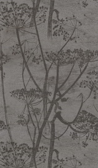 Tapeta Cole & Son - Contemporary Restyled  - Cow Parsley - 95/9050