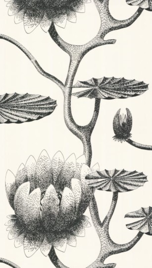 Tapeta Cole & Son - Contemporary Restyled  - Lily - 95/4020
