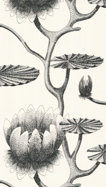 Tapeta Cole & Son - Contemporary Restyled  - Lily - 95/4020