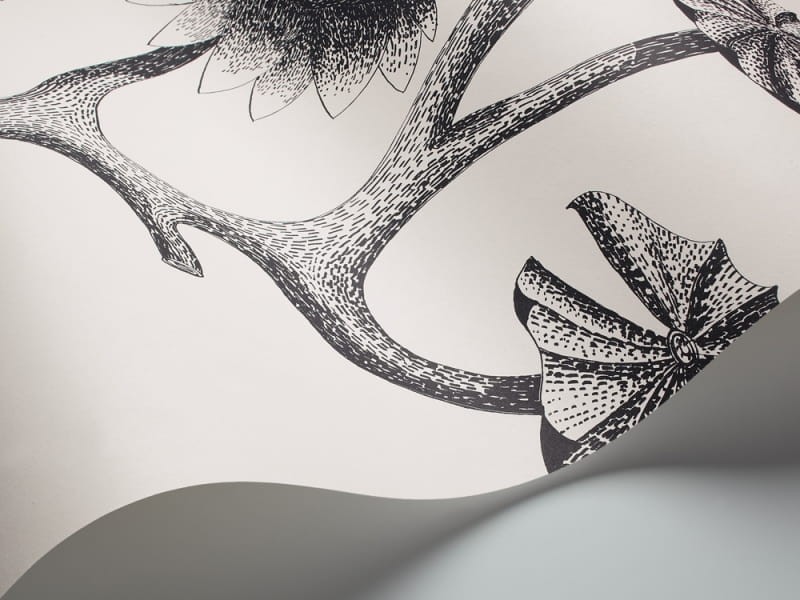 Tapeta Cole & Son - Contemporary Restyled  - Lily - 95/4020