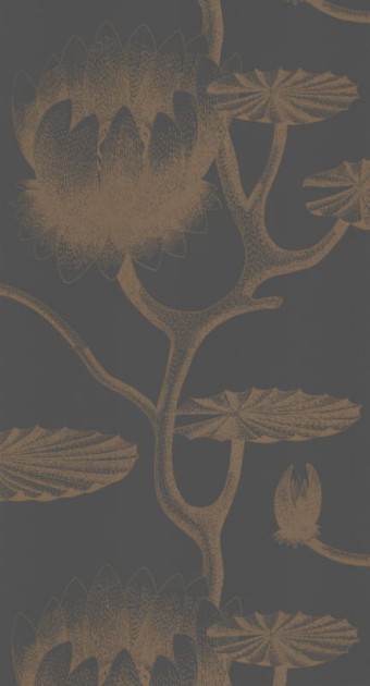 Tapeta Cole & Son - Contemporary Restyled  - Lily - 95/4021