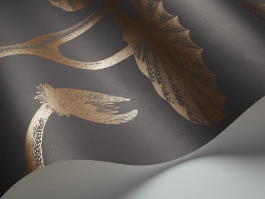 Tapeta Cole & Son - Contemporary Restyled  - Lily - 95/4021