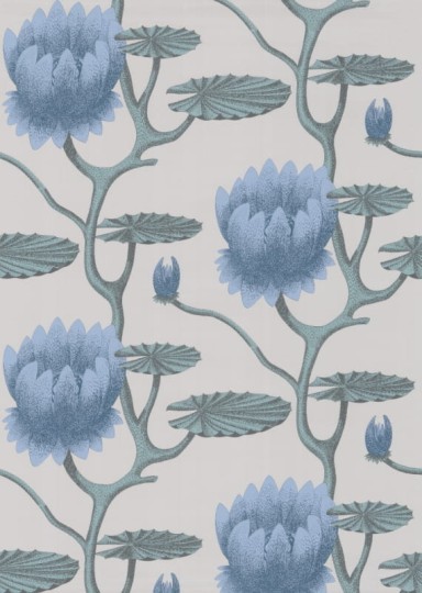 Tapeta Cole & Son - Contemporary Restyled  - Water Lily - 95/4024