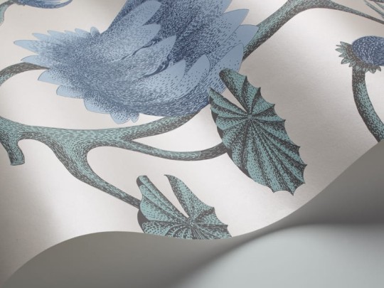 Tapeta Cole & Son - Contemporary Restyled  - Water Lily - 95/4024