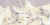 12c01074fc6bc27c606b939b919d3889