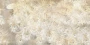 a4d8f2baae60e91b370a195b8e0b64c0