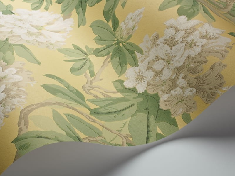 Tapeta Cole & Son - Folie - Bourlie 99/4021