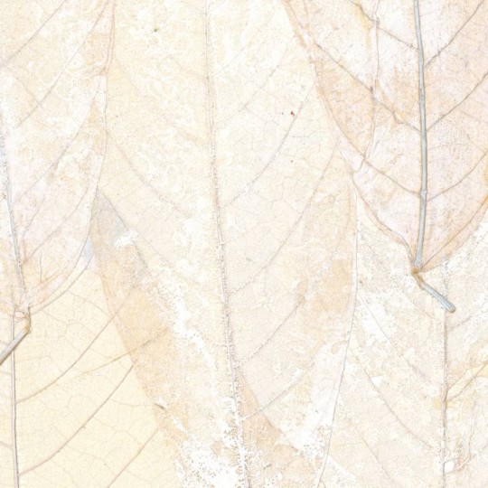 Elitis RM 972 01 Ecrin Blanche neige – tapeta tekstylna w liście kakaowca