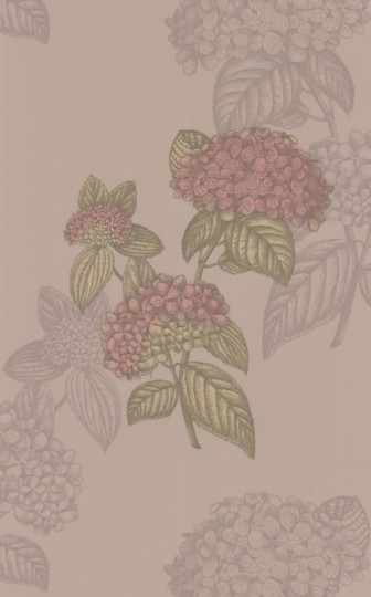 Tapeta Cole & Son - Fornasetti Collection - Ortensia - 77/10039