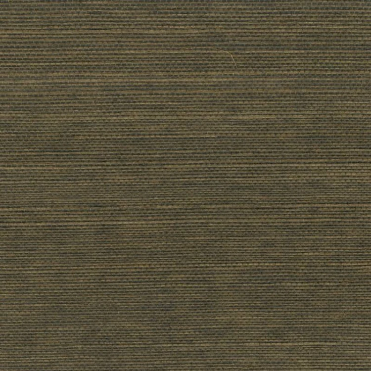 b378ceb4242750caeb0a4211f0212351