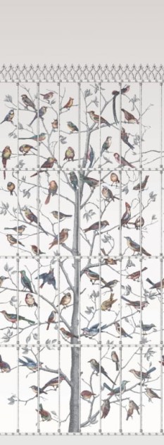 Tapeta Cole & Son - Fornasetti II - Uccelli 97/7020