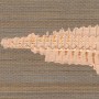 c35c4705573c8307ccd78723e2e2432c
