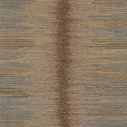 98c5a1abd08036fa7b5a9f8095b5e550