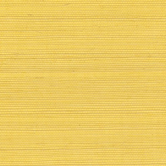 Elitis RM 1069 21 Tribus Sisal – tapeta z sizalu