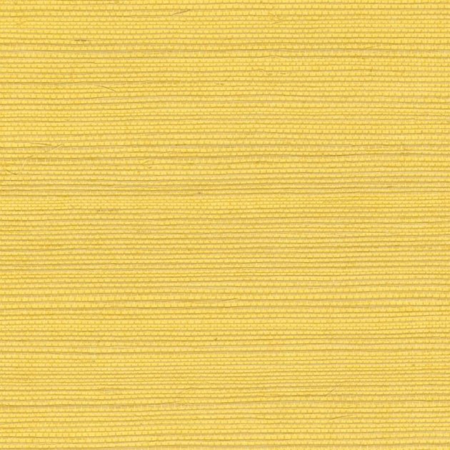 Elitis RM 1069 21 Tribus Sisal – tapeta z sizalu