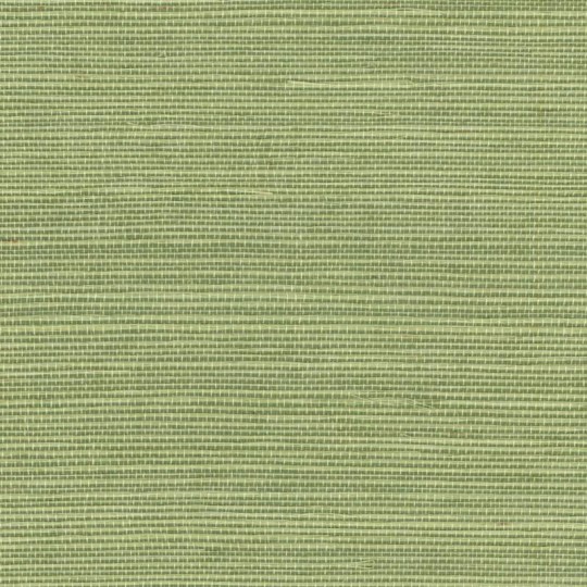 Elitis RM 1069 63 Tribus Sisal – tapeta z sizalu