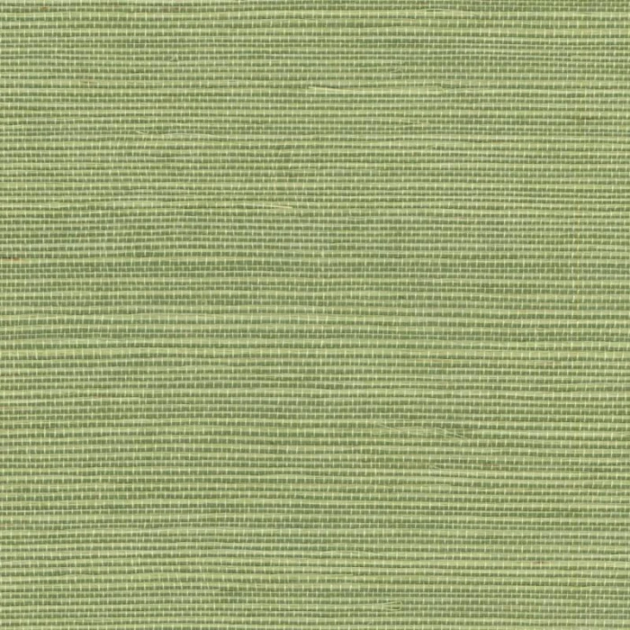 0e6d14ac434b07f9337b36e5019be206