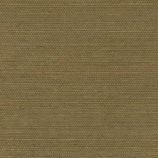 Elitis RM 1069 66 Tribus Sisal – tapeta z sizalu