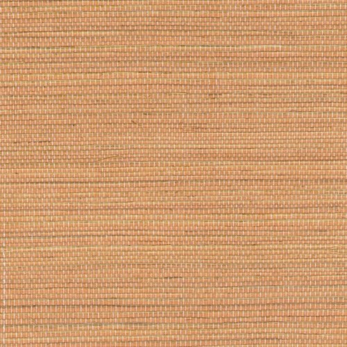 74abd9b2e69477fb4247091a5c6ca658