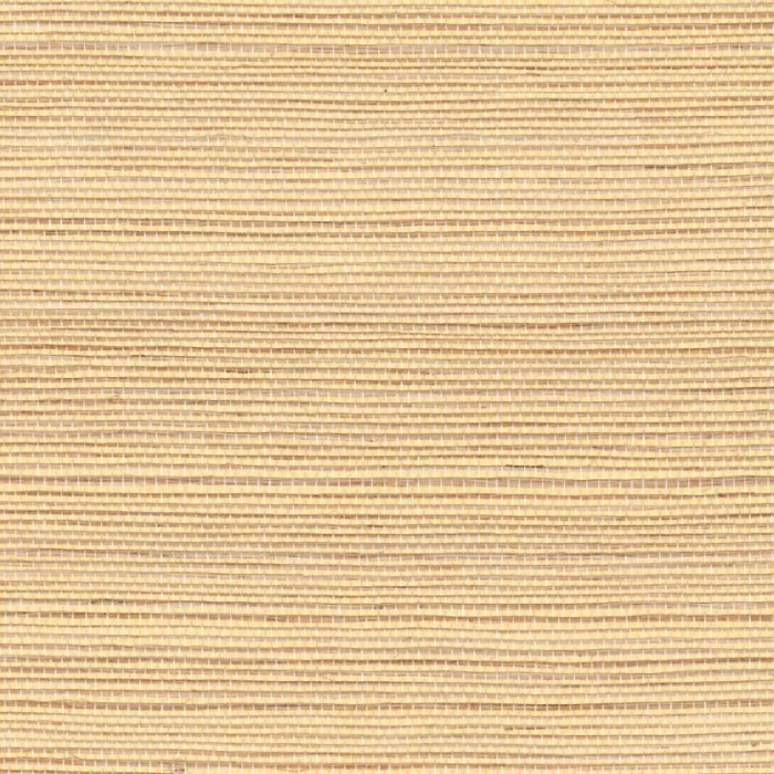 d150d65c7c94290333fce2fb1fce2db4
