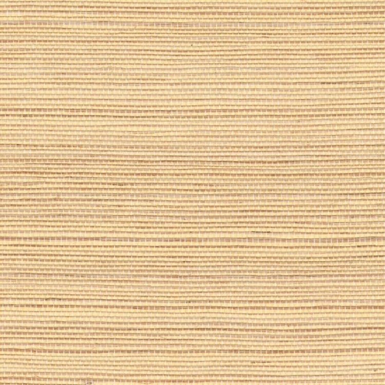 d150d65c7c94290333fce2fb1fce2db4