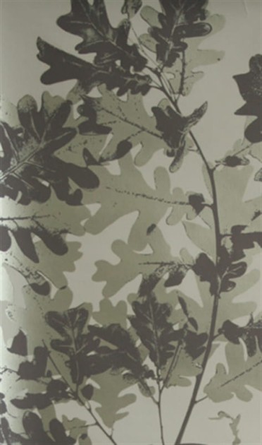 Tapeta Osborne And Little - Wallpaper Album 6 - W5875 - 04
