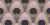 240015e69d9e1150bdd72964c992963c