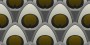 beba7f88eaef4442336a70c5e7a6c999