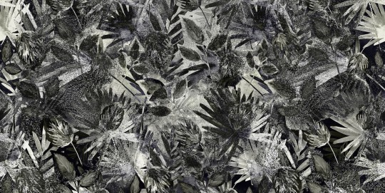 Tecnografica 60478-2 Expedition Indian Soul Dark Grey - mural w liście