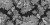 ecfcd12b322159e5c02330d04ea9889c