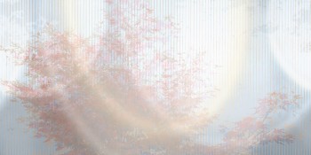 c41584bf15e3a27c093972a30978da0c