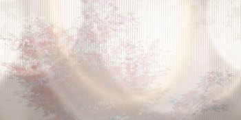 f38e96862fe5704ef230bc11dbc054c6