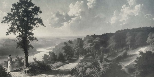 Tecnografica 85828-1A Landscapes Out of the wood Grey A - mural w pejzaż rzeki i lasu