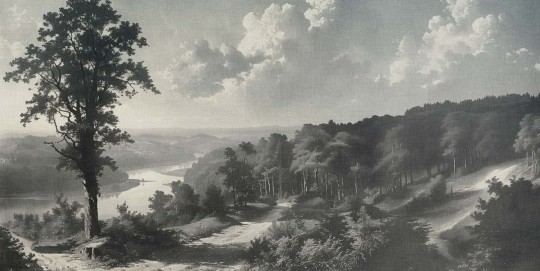Tecnografica 85828-1B Landscapes Out of the woods Grey B - mural w pejzaż rzeki i lasu