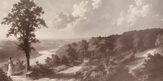 Tecnografica 85828-2A Landscapes Out of the woods Rose A - mural w pejzaż rzeki i lasu