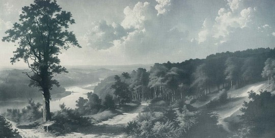 Tecnografica 85828-3B Landscapes Out of the woods Blue B - mural w pejzaż rzeki i lasu