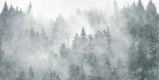 Tecnografica 73179-1 Landscapes Yukonic Green - mural w leśny krajobraz