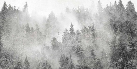 Tecnografica 73179-2 Landscapes Yukonic Black - mural w leśny krajobraz