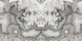 c9ed3afec0469c069ef6e362b572bc88