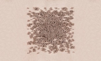 2da2258ef399733226e095e274cfd4bf