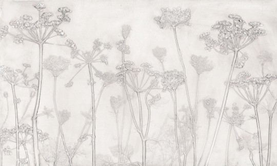 Wall Art Erbario Light - mural w suszone rośliny