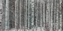 b6641a5246be40234804769a1b994c75