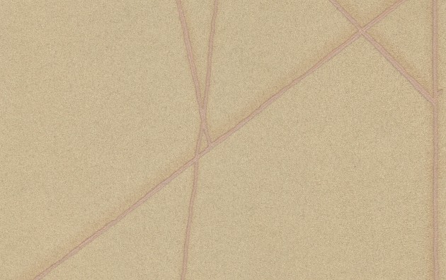 Texam EN103 Entanglement - tapeta geometryczne linie